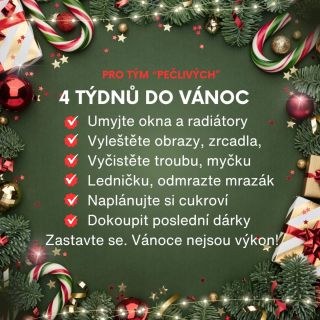 🎄 4týdenní vánoční plán pro ty: 🔴 Co to mají rádi připravené, 100% čisté a dokonalé. 🟢 Nebo jste v týmu "pohodářů", co...